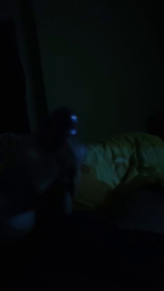 VID_20220706_004716356.mp4