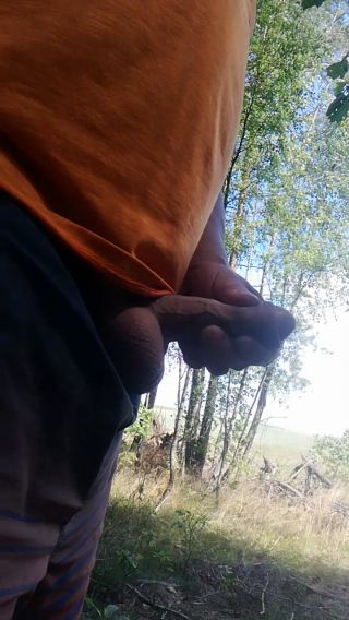 VID_20220719_131814.mp4