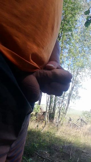 VID_20220719_131814.mp4