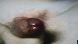 malzbydg1