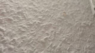 VID-20220721-WA0034.mp4