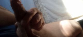 Frutituti