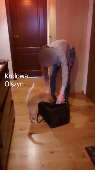 2022-07-29 MOV_1193 MOV_1193 rano Królowa Olszyn.mp4