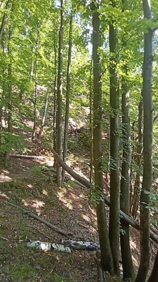 Przechadzki.mp4