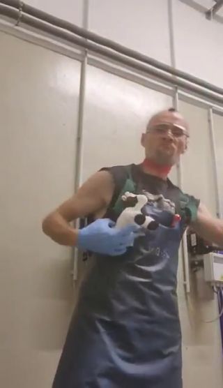 226fb35f7bacae8da05358dabaa9b3eb.0.mp4