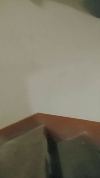 VID20220806015128.mp4