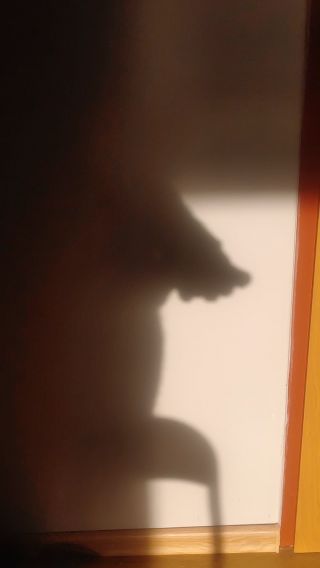 20220805_185342.mp4