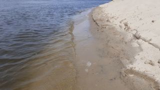 20220806_133308[1].mp4