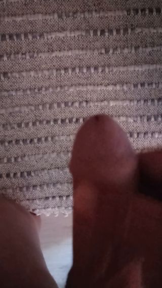 VID_20220811_074635.mp4