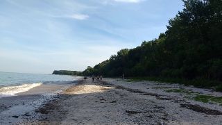 VID_20190625_180019370.mp4
