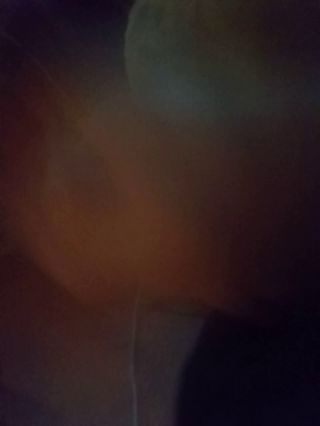 20220819_012550.mp4