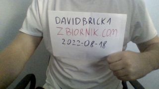 davidbrick1