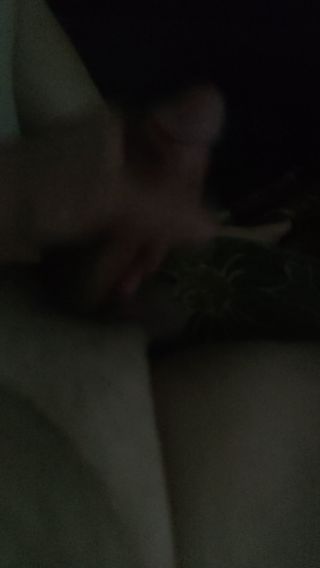 PawcioByd