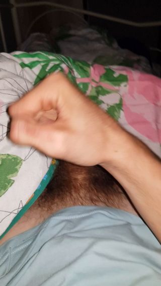 lotnikalfa