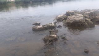 20220828_190101[1].mp4