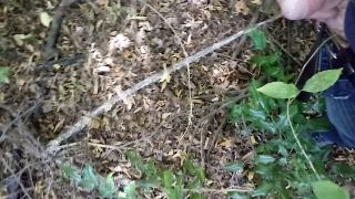 20220830_114709.mp4