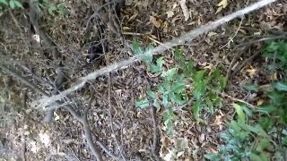 20220830_114709.mp4