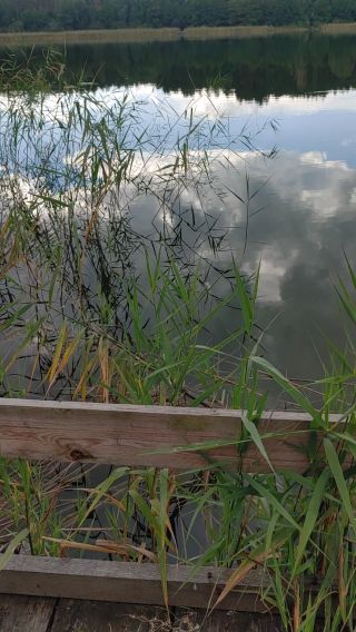 20220909_155010.mp4