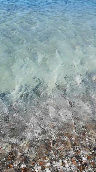 VID_20190721_112351.mp4
