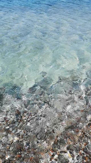 VID_20190721_112351.mp4