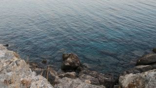 VID_20220816_200921.mp4