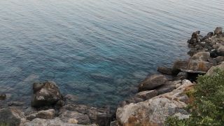 VID_20220816_200921.mp4
