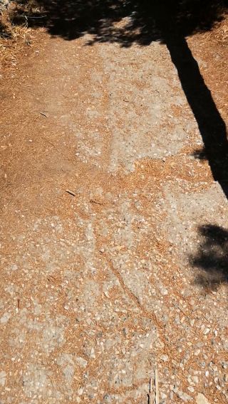 VID_20190718_151721.mp4
