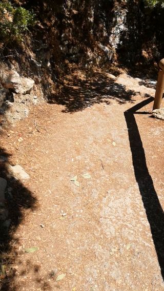 VID_20190718_151721.mp4
