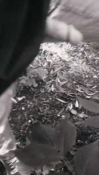 VID_20220924_085531.mp4