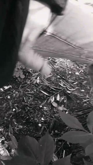 VID_20220924_085531.mp4
