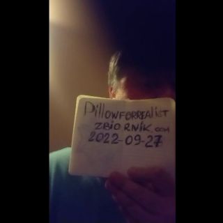 Pillowforrealist