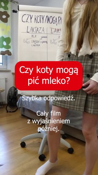 VID_20220929_165745705 eroportale.mp4