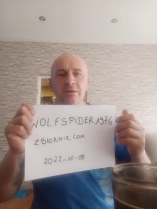 wolfspider1976