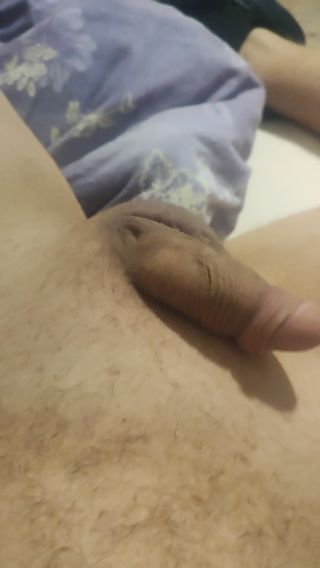 VID_20221009_072237.mp4
