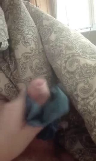 video-1648391463.mp4