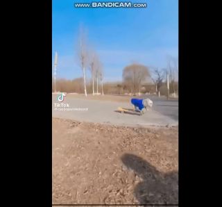 bandicam 2022-10-14 20-17-45-645.mp4