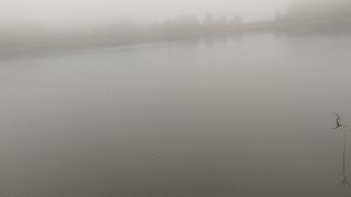 20221022_082201.mp4