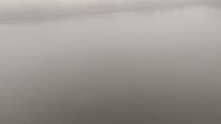 20221022_082201.mp4