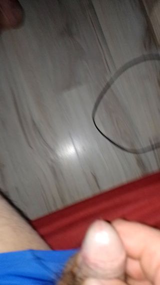 VID_20221027_235833.mp4