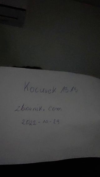 Kocurek1313