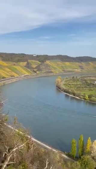 trim.8297D5AE-A0F7-4F48-8FB9-FD26497AB3F9.MOV