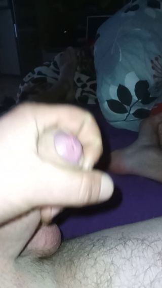 Cichy744