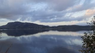20221106_161034.mp4