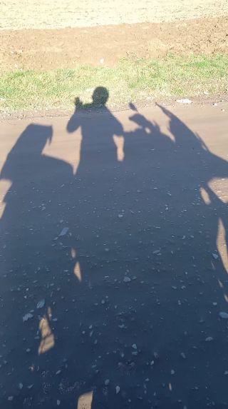 Dobrybonowy
