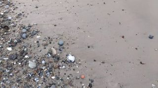 VID_20190524_192156408.mp4