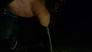 20221118_200316.mp4