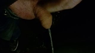 20221118_200316.mp4