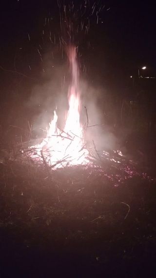 VID_20221121_164351980.mp4