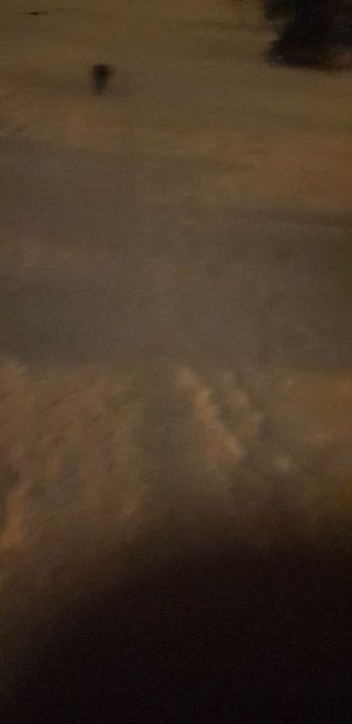 20221211_205454.mp4