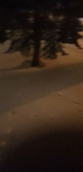 20221211_205454.mp4